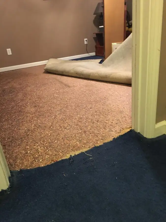 Carpet pad removal revealing water damage during Drying & Dehumidification in Highland Park